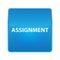 Assignment shiny blue square button