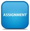 Assignment special cyan blue square button