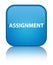 Assignment special cyan blue square button