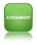 Assignment special soft green square button