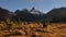 Assiniboine Mountain at sunset in the fall