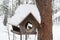 Assistance to wild birds. Wooden birdhouse covered with snow on a pine tree. Shelter for birds.
