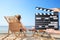 Assistant holding clapperboard and people relaxing in deck chairs on beach. Cinema production