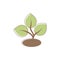 Associations and symbols Sustainability. Symbols of nature: leaves and plant. Icons for applications and sites on the