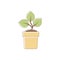 Associations and symbols Sustainability. Symbols of nature: plant in the pot. Icons for applications and sites on the