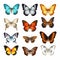 Assorted Butterflies: Hyper-realistic Vector Illustrations In Various Colors