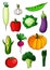 Assorted cartoon ripe vegetables on white