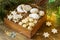 Assorted Christmas cookies: cinnamon stars, vanilla crescents, stollen and ginger cubes in a wooden box. Rustic style.