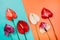 Assorted colorful beautiful anthurium flowers on dual colorful background.