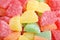 Assorted Colorful Fruit Slices