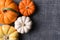 Assorted decorative pumpkins on rustic wood background.