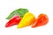 Assorted decorative red, yellow, orange peppers Capsicum Gemeng