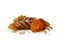 Assorted different fresh baked bread, dark and white whole grain loaves, wheat ears and wheat grain on a white background