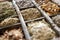 Assorted dried herbs in a printers tray