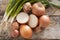 Assorted farm fresh onions on a rustic table