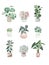 Assorted Floral Vector Outline illustration in a vase and jar, Potted Plants on Flat Style Set Pack