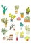 Assorted Floral Vector Outline illustration in a vase and jar, Potted Plants on Flat Style Set Pack