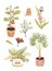 Assorted Floral Vector Outline illustration in a vase and jar, Potted Plants on Flat Style Set Pack