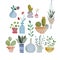 Assorted Floral Vector Outline illustration in a vase and jar, Potted Plants on Flat Style Set Pack