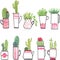 Assorted Floral Vector Outline illustration in a vase and jar, Potted Plants on Flat Style Set Pack