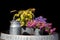 Assorted flowers in aluminum pots and buckets.