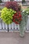 Assorted Flowers Jardiniere display on the Bank of Moselle River from Epinal City in Vosges Department of France