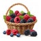 Assorted Fresh Berries in Wicker Basket Ideal for Healthy Snacking and Nutrition Articles