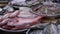 Assorted Fresh Raw Fish on Trays for Sale at Seafood Market