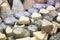 Assorted goat cheeses at French cheese monger