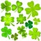 Assorted Green Clover Leaf Clip Art