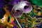 Assorted Mardi Gras or Carnivale mask on a purple background