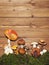 Assorted mushrooms on wooden background