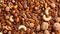 Assorted nuts creating a diverse and textured natural background rich in variety