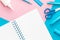 Assorted office and school pink and blue stationery