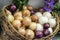 Assorted onions of different varieties. Basket with fresh organic vegetables, Live vitamins, selectiv focus. Farmers