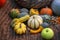 Assorted of organic natural ripe pumpkins. Symbol of harvest, Thanksgiving, Halloween. Rustic autumn background, selective focus