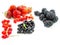 Assorted ripe forest berries on white