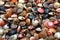 Assorted shells of many types and sizes are found on sea beaches. Close-up of seashells collection in summer day. Lots of.