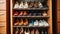 Assorted Shoes Adorning Wardrobe Closet Shelves. Generative AI
