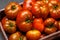 Assorted tomatoes in rustic crate