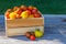 Assorted tomatoes in rustic crate