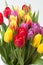 Assorted Tulips Bouquet On White Background