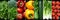 assorted vegetable products collage with white vertical lines bright and illuminated