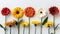 Assorted vibrant flowers on white background with ample text space for optimal placement