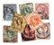 Assorted Victorian postage stamps