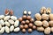 Assorted Walnuts, macadamia nuts and pecans close-up on wooden table