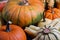 Assortiment of pumpkins background