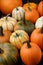 Assortiment of pumpkins background