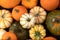 Assortiment of pumpkins background