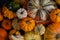 Assortiment of pumpkins background